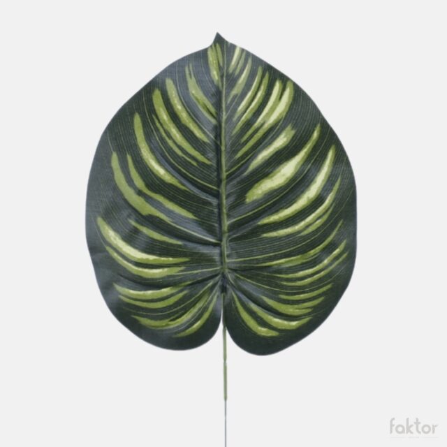 Vihreä Philodendron gloriosum -tekokasvin lehti varrella