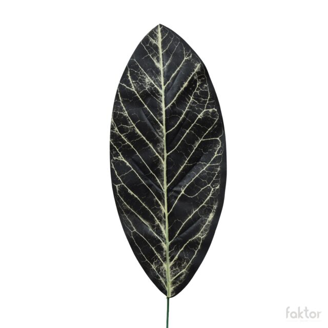 Tummanvihreä calathea-tekokasvin lehti