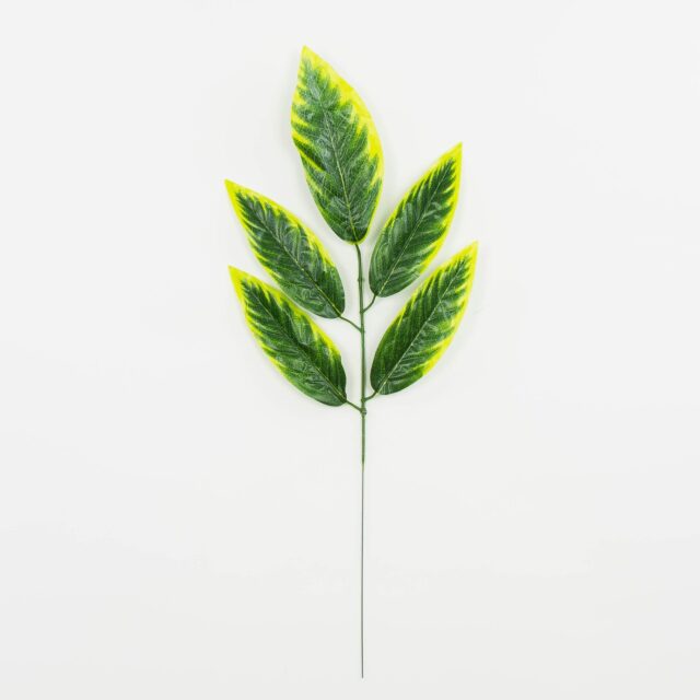 Vihreä–keltainen tekokasvin lehtioksa, jossa on 5 lehteä