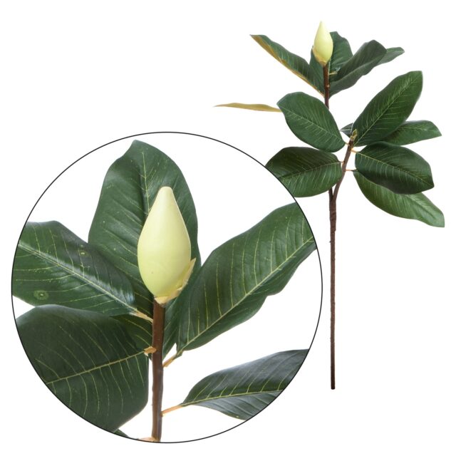 Vihreä magnolia-tekokukkaoksa lehdillä ja nupuilla, 75 cm