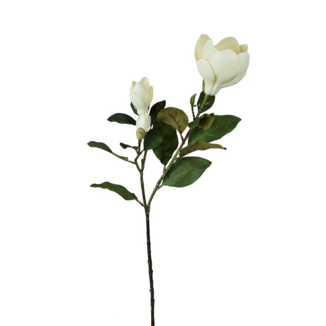 Kermanvärinen magnolian tekokukkaoksa 82 cm