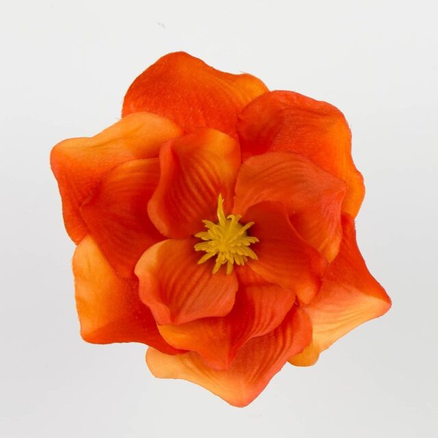 Oranssi magnolian tekokukan kukkapää