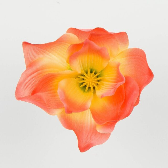 Korallinvärinen magnolia-tekokukan pää