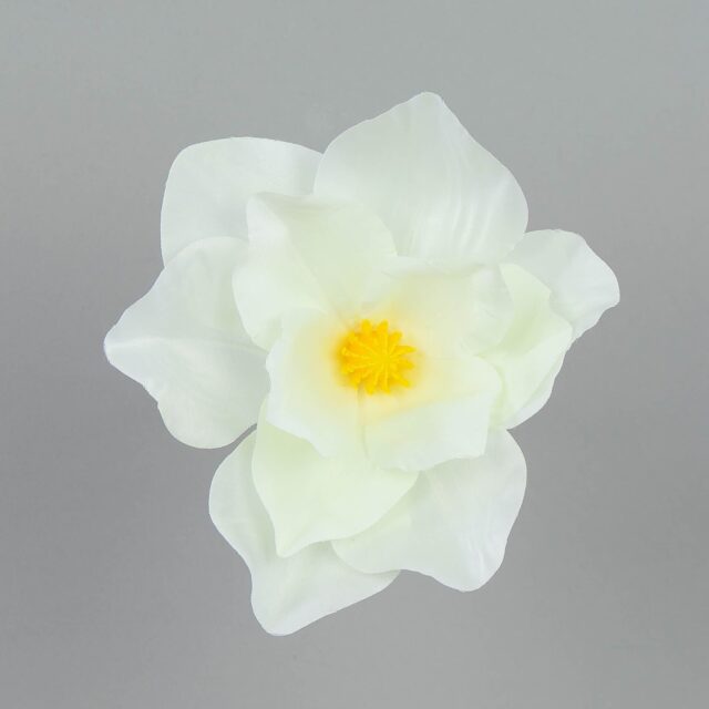 Kermanvärinen magnolia-tekokukan pää