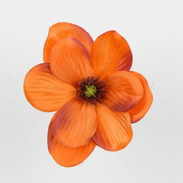 Tummanoranssi magnolian tekokukan kukkapää
