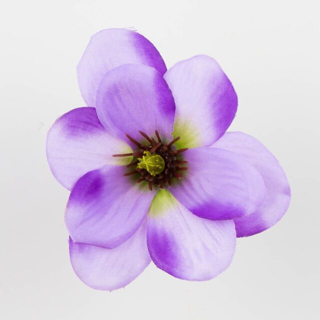 Violetti magnolian tekokukan pää