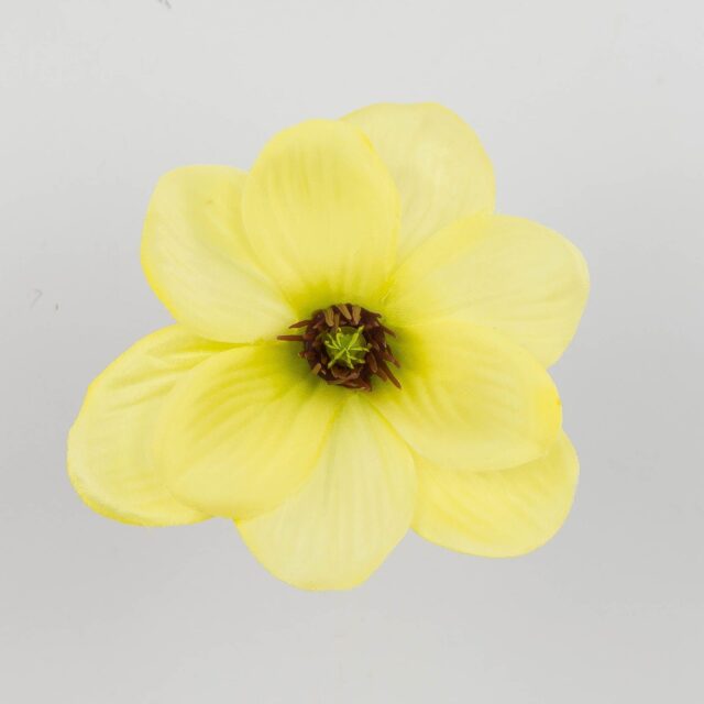 Vaaleankeltainen magnolia-tekokukan kukkapää