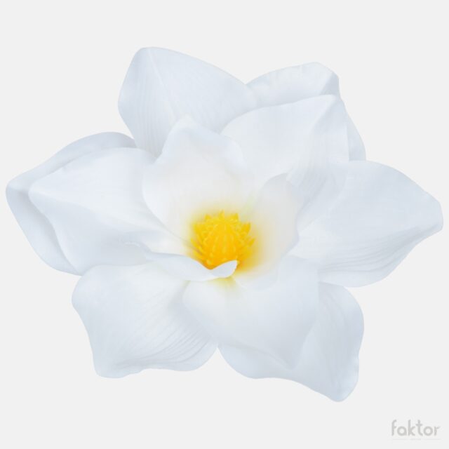 Valkoinen magnolia-tekokukan kukkapää