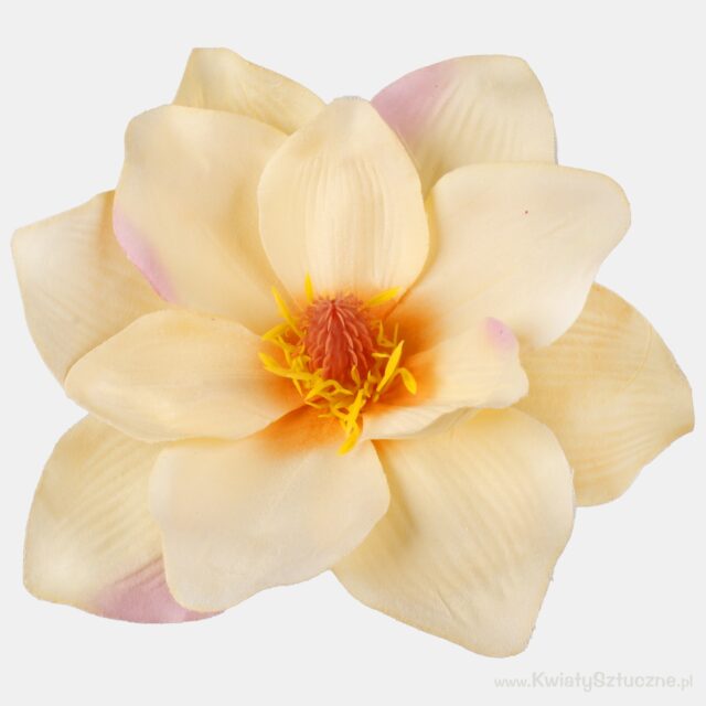 Oranssinpinkki magnolian tekokukkapää