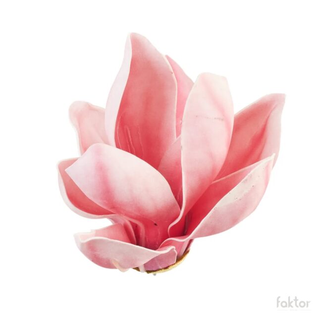 Vaaleanpunainen magnolia-tekokukan kukkapää
