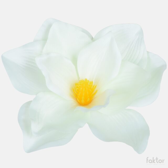 Vaalea kermanvärinen magnolia-tekokukan kukkapää
