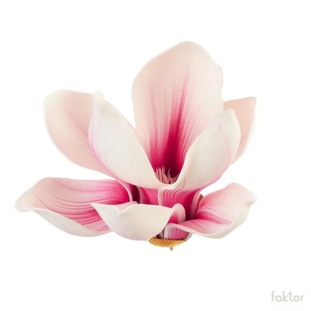 Valkoinen magnolian tekokukan kukkapää