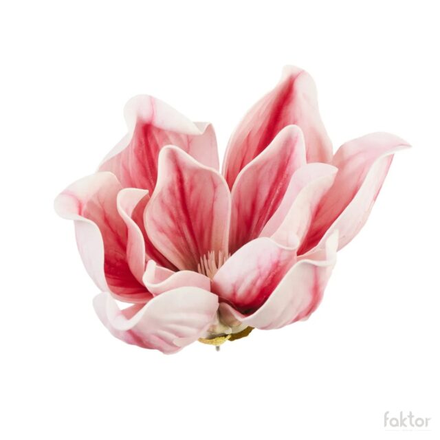 Vaaleanpunainen magnolia-tekokukan pää