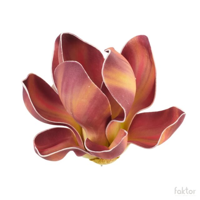 Viininpunainen magnolia-tekokukan kukkapää