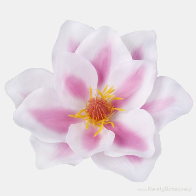 Kerman- ja vaaleanpunainen magnolia-tekokukan pää