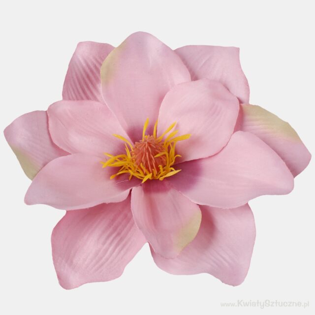 Vaaleanpunainen, violetti ja vihreä magnolia-tekokukka