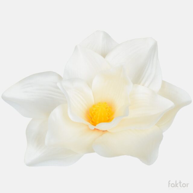 Kermanvärinen magnolia-tekokukan pää