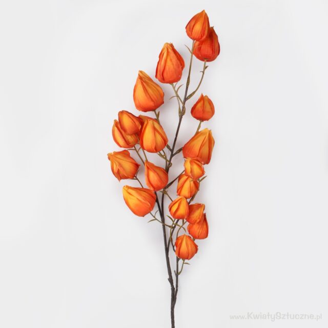 Oranssi physalis-tekokukkaoksa, 98 cm