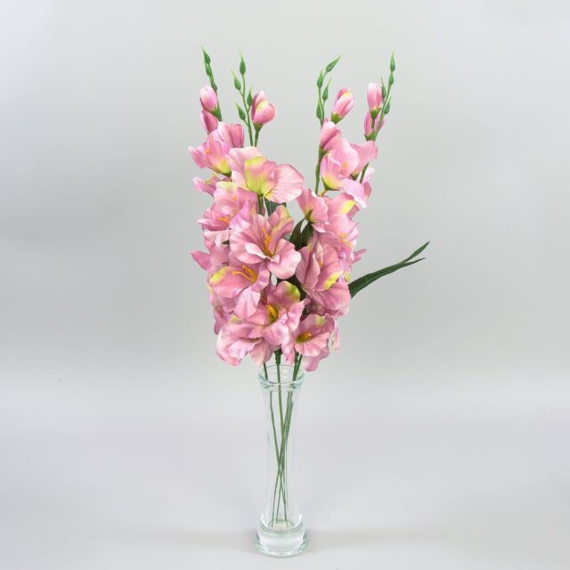 Vaaleanpunainen ja vihreä tekogladioluksen oksa