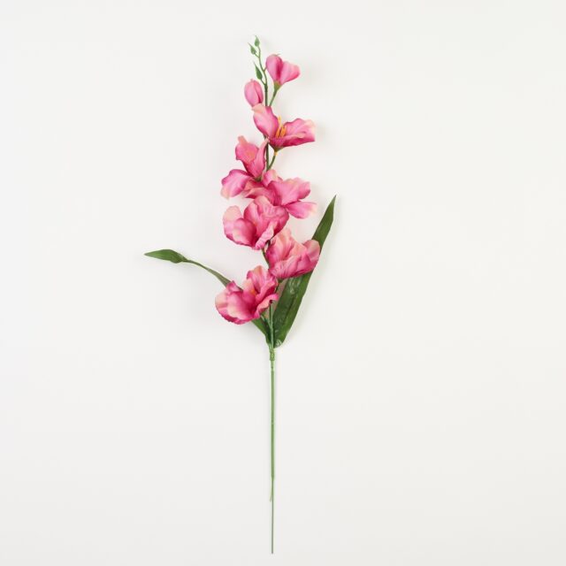 Violetti-hiekanvärinen tekogladioluksen oksa