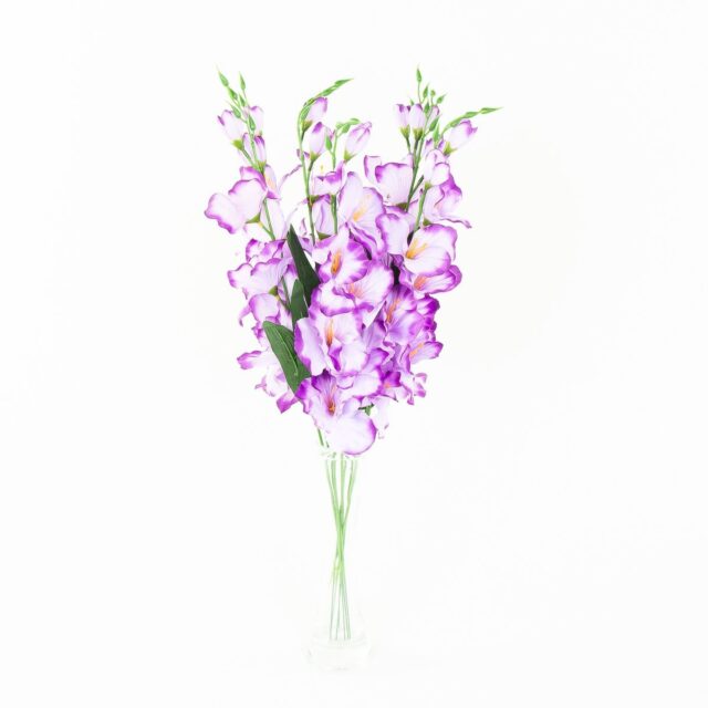Violetti reunallinen tekogladiolin oksa
