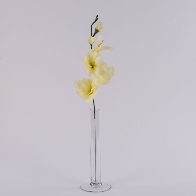 Kermanvärinen tekogladioli