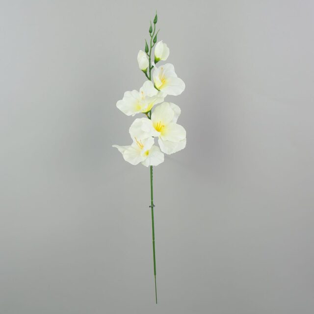 Kerman- ja mintunvärinen satiininen tekogladioli
