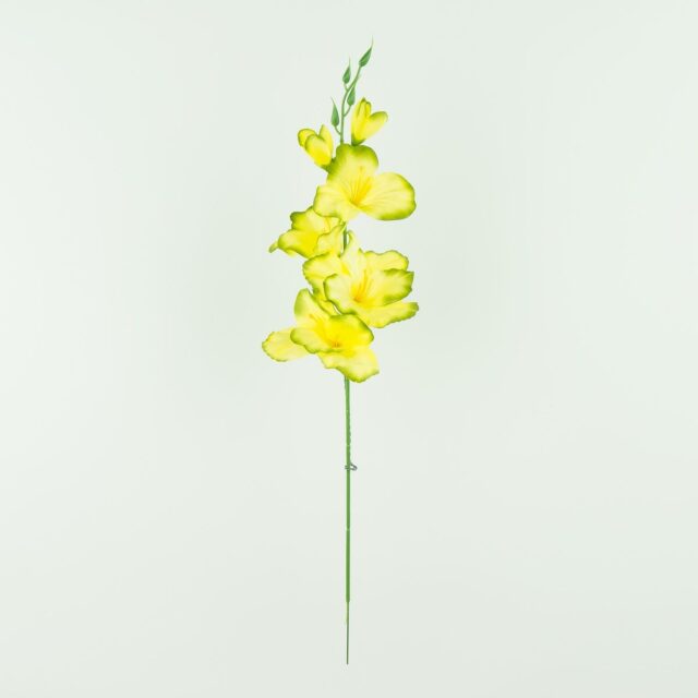 Keltainen ja tummanvihreä tekogladioli