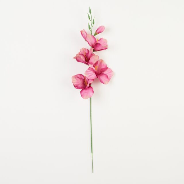 Violetti satyynipintainen tekogladioli