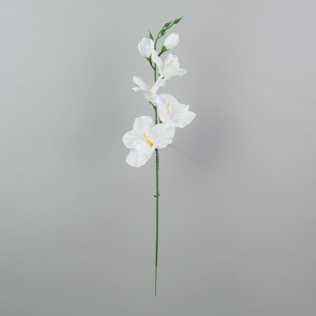 Puhdasvalkoinen satiinipintainen tekogladioli