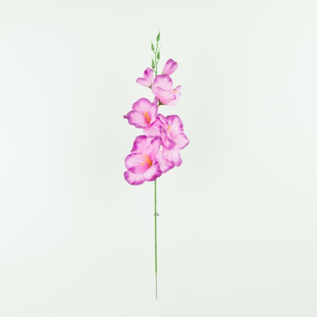 Violetti reunallinen tekogladioluksen kukkavarsi
