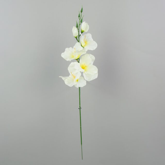 Kerman- ja mintunvärinen satiinipintainen tekogladiolus