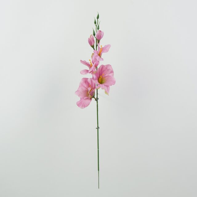 Vaaleanpunainen ja vihreä tekogladioli