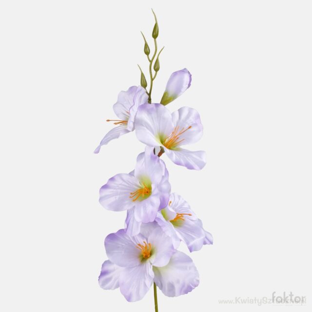 Vaalean liila gladiolus-tekokukka vihreällä keskustalla