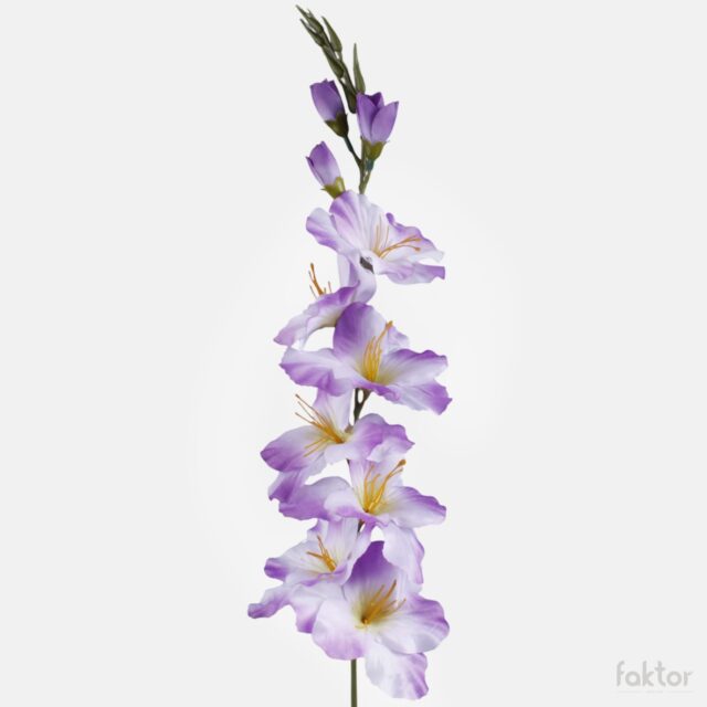 Liila satiinigladiolus tekokukka, 80 cm