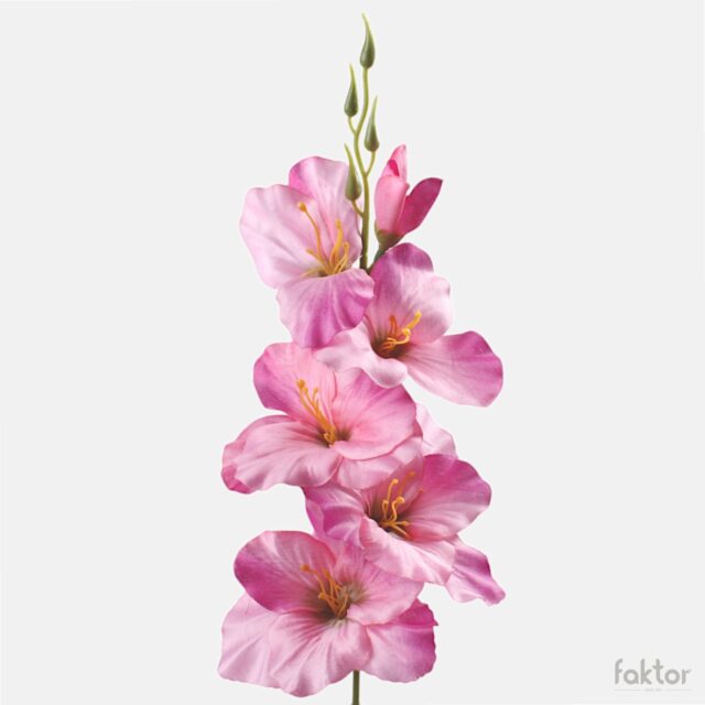 Vaaleanpunainen gladiolus-tekokukka vihreällä keskustalla