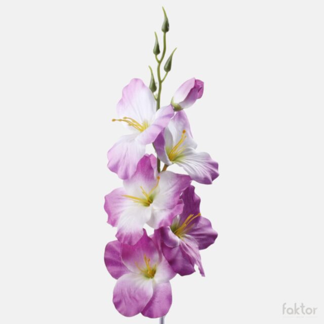 Violetti-valkoinen tekogladiolus vihreällä keskustalla