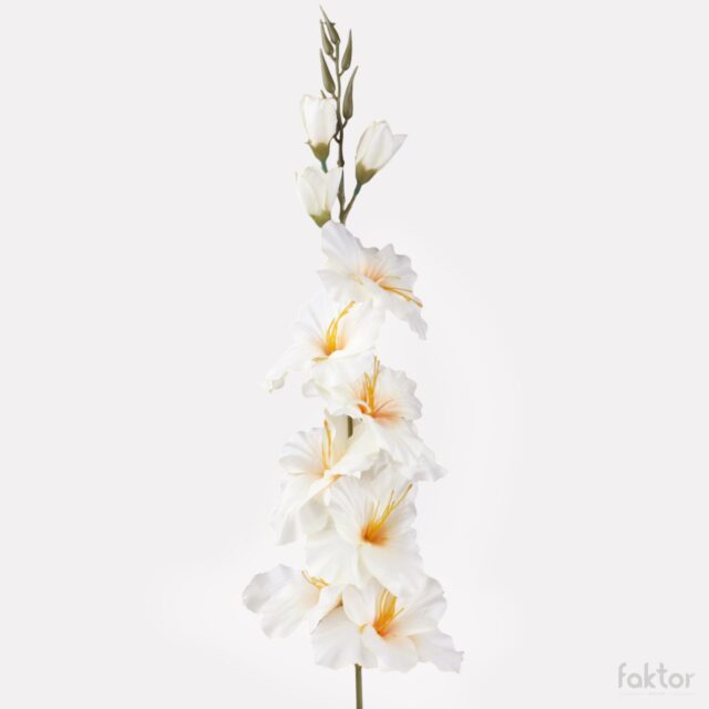 Kermanvärinen tekogladioli, 80 cm