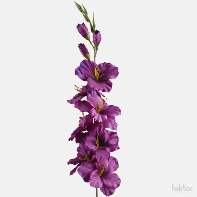 Violetti satiinigladioli-tekokukka, 78 cm