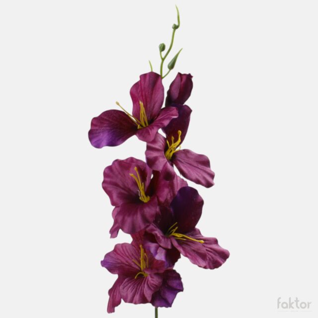 Violetti satiinigladiolus tekokukka