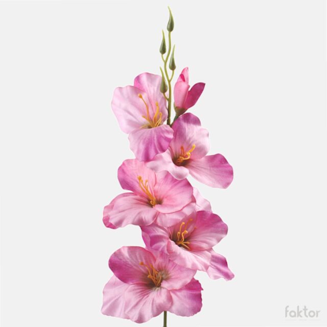Vaaleanpunainen tekogladiolus vihreällä keskustalla