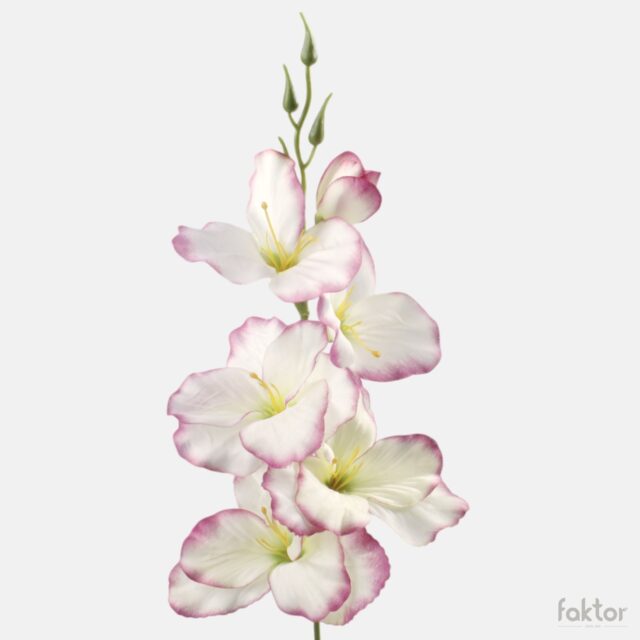 Kermanvärinen violettireunainen gladiolus-tekokukka vihreällä keskustalla