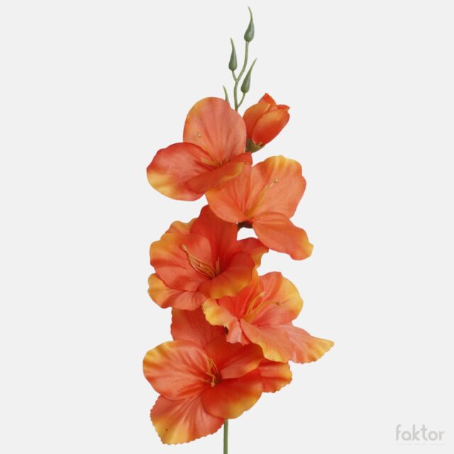 Tummanoranssi satiininen tekogladioli