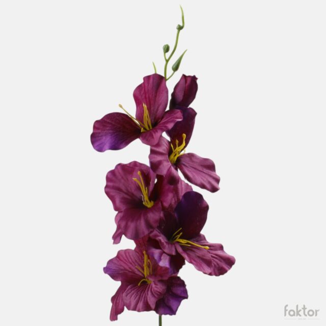 Violetti satiinigladiolus-tekokukkaoksa