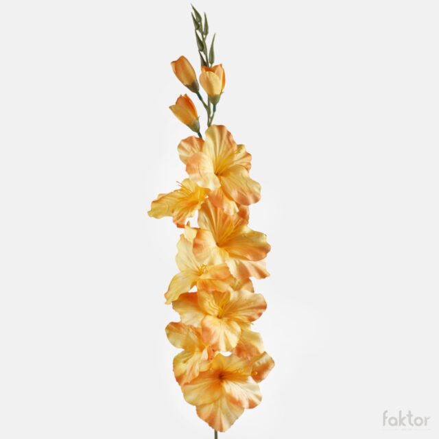 Vaaleanoranssi tekogladioli 80 cm