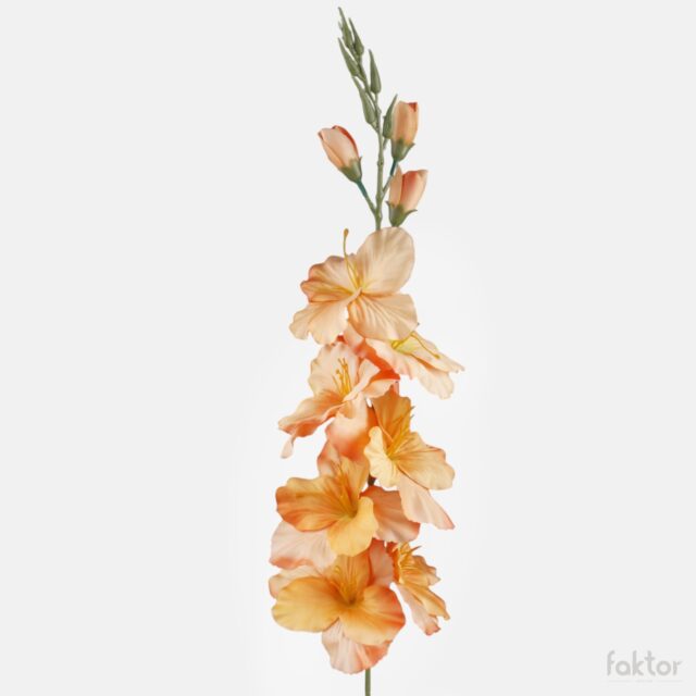 Oranssi satiinipintainen tekogladioli
