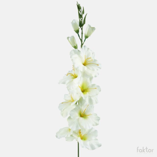 Kermanvärinen tekogladioli vihreällä keskustalla