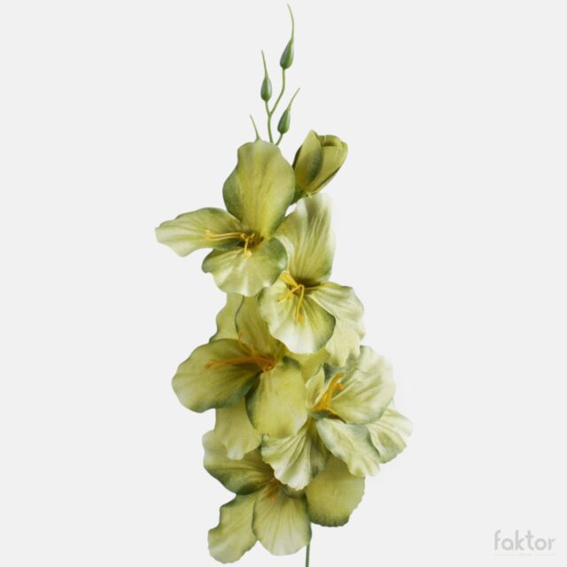 Vihreä tekogladiolus, 5 kukintoa, 55 cm