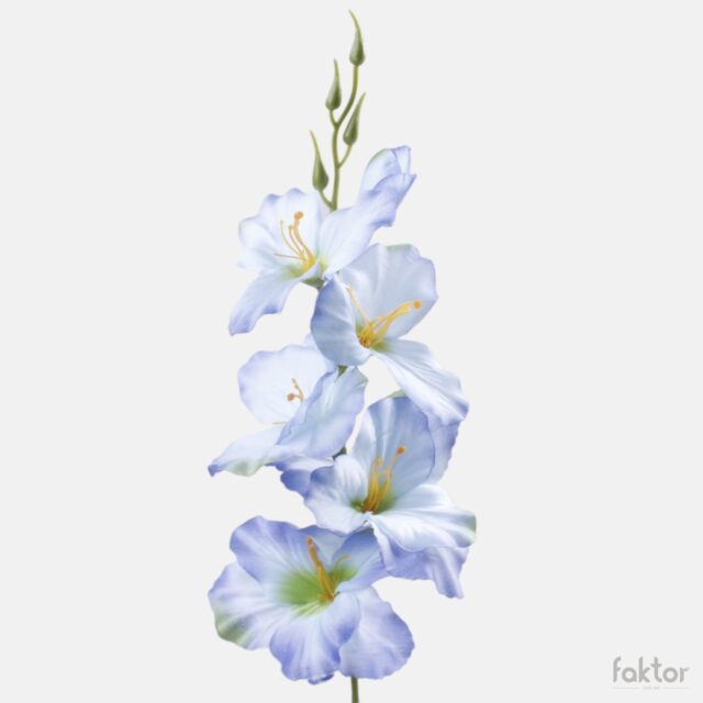 Sininen tekogladiolus vihreällä keskustalla