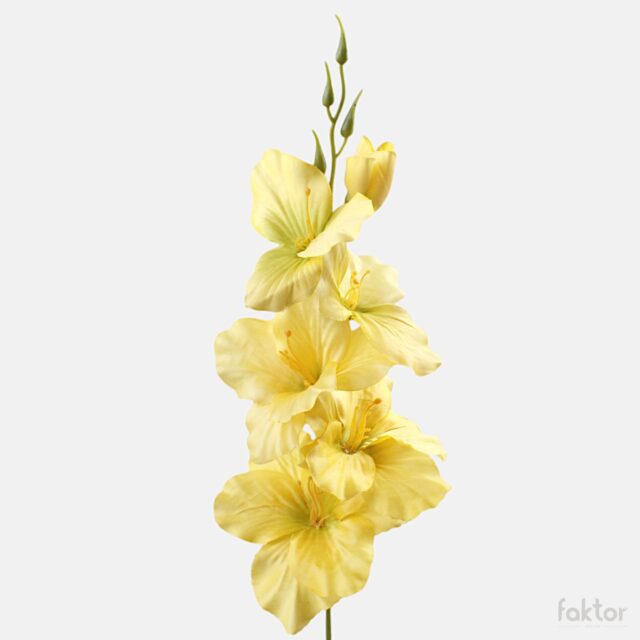 Keltainen tekogladioli vihreällä keskustalla